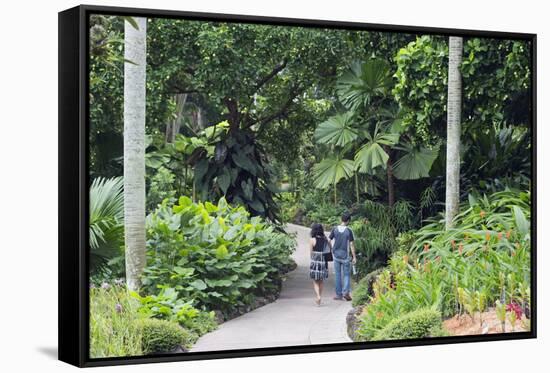 Botanic Gardens, Singapore, Southeast Asia, Asia-Christian Kober-Framed Stretched Canvas