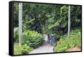 Botanic Gardens, Singapore, Southeast Asia, Asia-Christian Kober-Framed Stretched Canvas