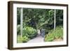 Botanic Gardens, Singapore, Southeast Asia, Asia-Christian Kober-Framed Photographic Print