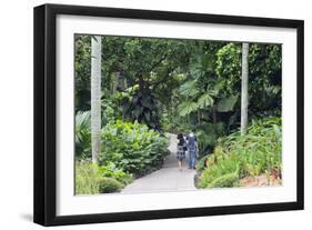 Botanic Gardens, Singapore, Southeast Asia, Asia-Christian Kober-Framed Photographic Print