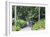 Botanic Gardens, Singapore, Southeast Asia, Asia-Christian Kober-Framed Photographic Print