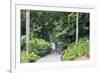 Botanic Gardens, Singapore, Southeast Asia, Asia-Christian Kober-Framed Photographic Print