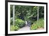 Botanic Gardens, Singapore, Southeast Asia, Asia-Christian Kober-Framed Photographic Print