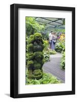 Botanic Gardens, Singapore, Southeast Asia, Asia-Christian Kober-Framed Photographic Print