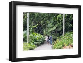 Botanic Gardens, Singapore, Southeast Asia, Asia-Christian Kober-Framed Photographic Print