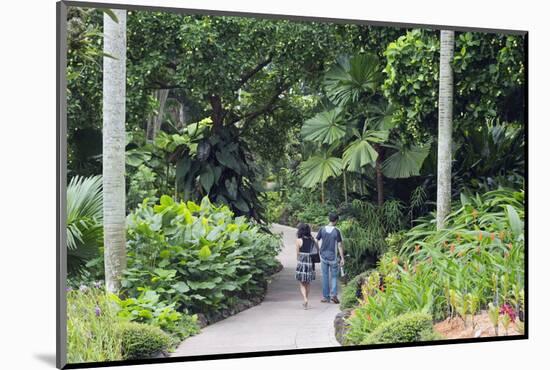 Botanic Gardens, Singapore, Southeast Asia, Asia-Christian Kober-Mounted Photographic Print