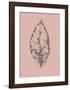 Botanica 1-Design Fabrikken-Framed Art Print