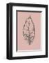 Botanica 1-Design Fabrikken-Framed Art Print