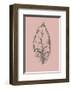 Botanica 1-Design Fabrikken-Framed Art Print