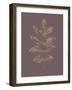 Botanica 2-Design Fabrikken-Framed Art Print