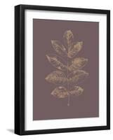 Botanica 2-Design Fabrikken-Framed Art Print
