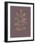 Botanica 2-Design Fabrikken-Framed Art Print