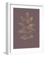 Botanica 2-Design Fabrikken-Framed Art Print