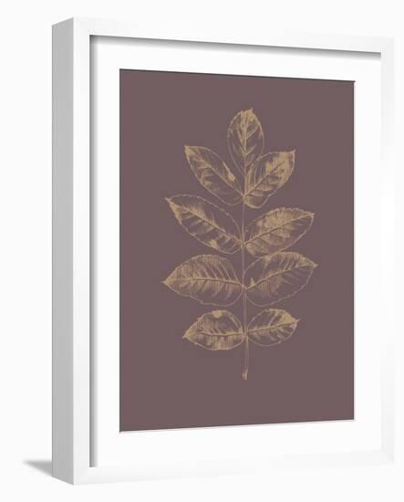 Botanica 2-Design Fabrikken-Framed Art Print