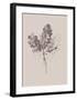 Botanica 3-Design Fabrikken-Framed Art Print