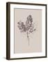 Botanica 3-Design Fabrikken-Framed Art Print