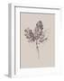 Botanica 3-Design Fabrikken-Framed Art Print