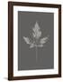 Botanica 5-Design Fabrikken-Framed Art Print