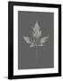 Botanica 5-Design Fabrikken-Framed Art Print