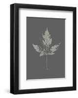 Botanica 5-Design Fabrikken-Framed Art Print