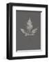 Botanica 5-Design Fabrikken-Framed Art Print