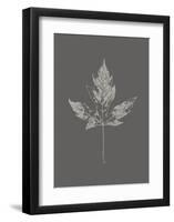 Botanica 5-Design Fabrikken-Framed Art Print