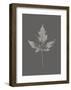 Botanica 5-Design Fabrikken-Framed Art Print