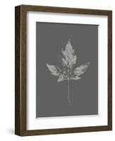 Botanica 5-Design Fabrikken-Framed Art Print