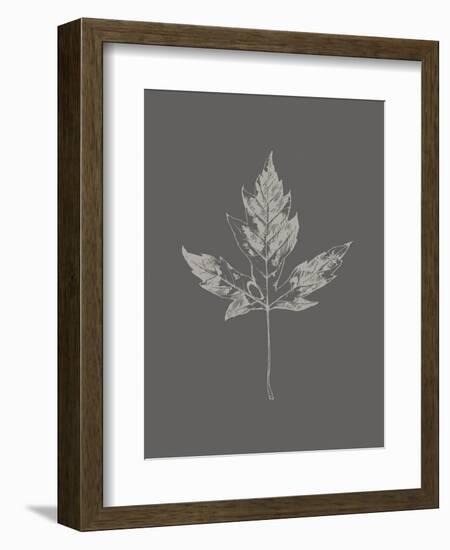 Botanica 5-Design Fabrikken-Framed Art Print