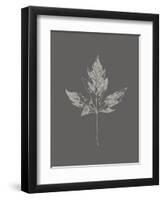 Botanica 5-Design Fabrikken-Framed Art Print