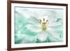 Botanica Azure II-Jeanne Michel-Framed Giclee Print