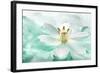 Botanica Azure II-Jeanne Michel-Framed Giclee Print