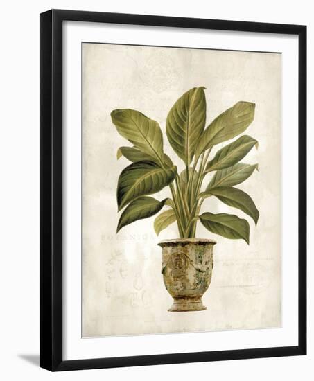 Botanica Fern-Emma Hill-Framed Giclee Print