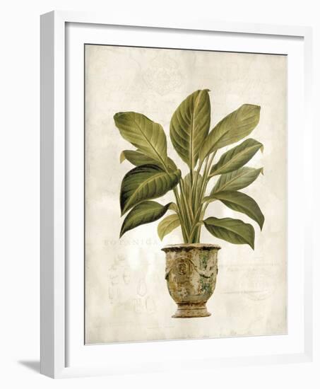 Botanica Fern-Emma Hill-Framed Giclee Print