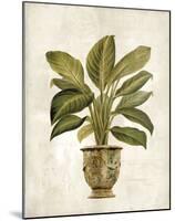 Botanica Fern-Emma Hill-Mounted Giclee Print