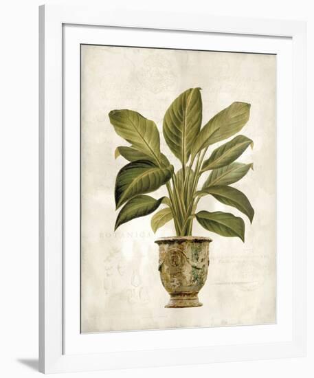 Botanica Fern-Emma Hill-Framed Giclee Print