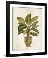 Botanica Fern-Emma Hill-Framed Giclee Print