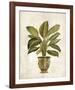 Botanica Fern-Emma Hill-Framed Giclee Print