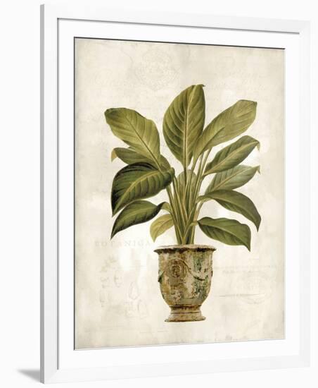 Botanica Fern-Emma Hill-Framed Giclee Print