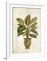 Botanica Fern-Emma Hill-Framed Art Print