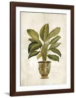 Botanica Fern-Emma Hill-Framed Art Print