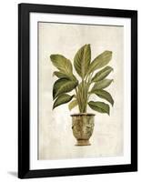 Botanica Fern-Emma Hill-Framed Art Print