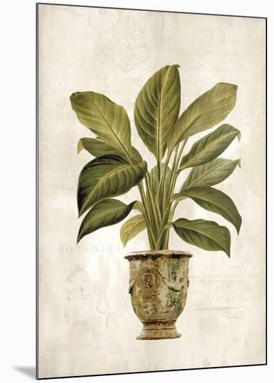 Botanica Fern-Emma Hill-Mounted Art Print