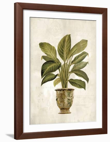 Botanica Fern-Emma Hill-Framed Art Print