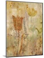 Botanica I-Dysart-Mounted Giclee Print