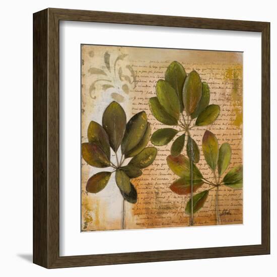 Botanica I-Patricia Pinto-Framed Art Print