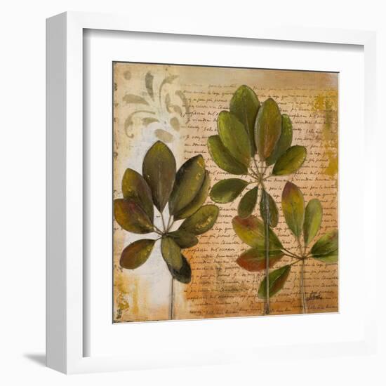 Botanica I-Patricia Pinto-Framed Art Print