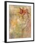 Botanica II-Unknown Unknown-Framed Art Print