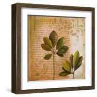 Botanica II-Patricia Pinto-Framed Art Print