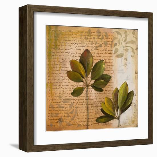 Botanica II-Patricia Pinto-Framed Art Print